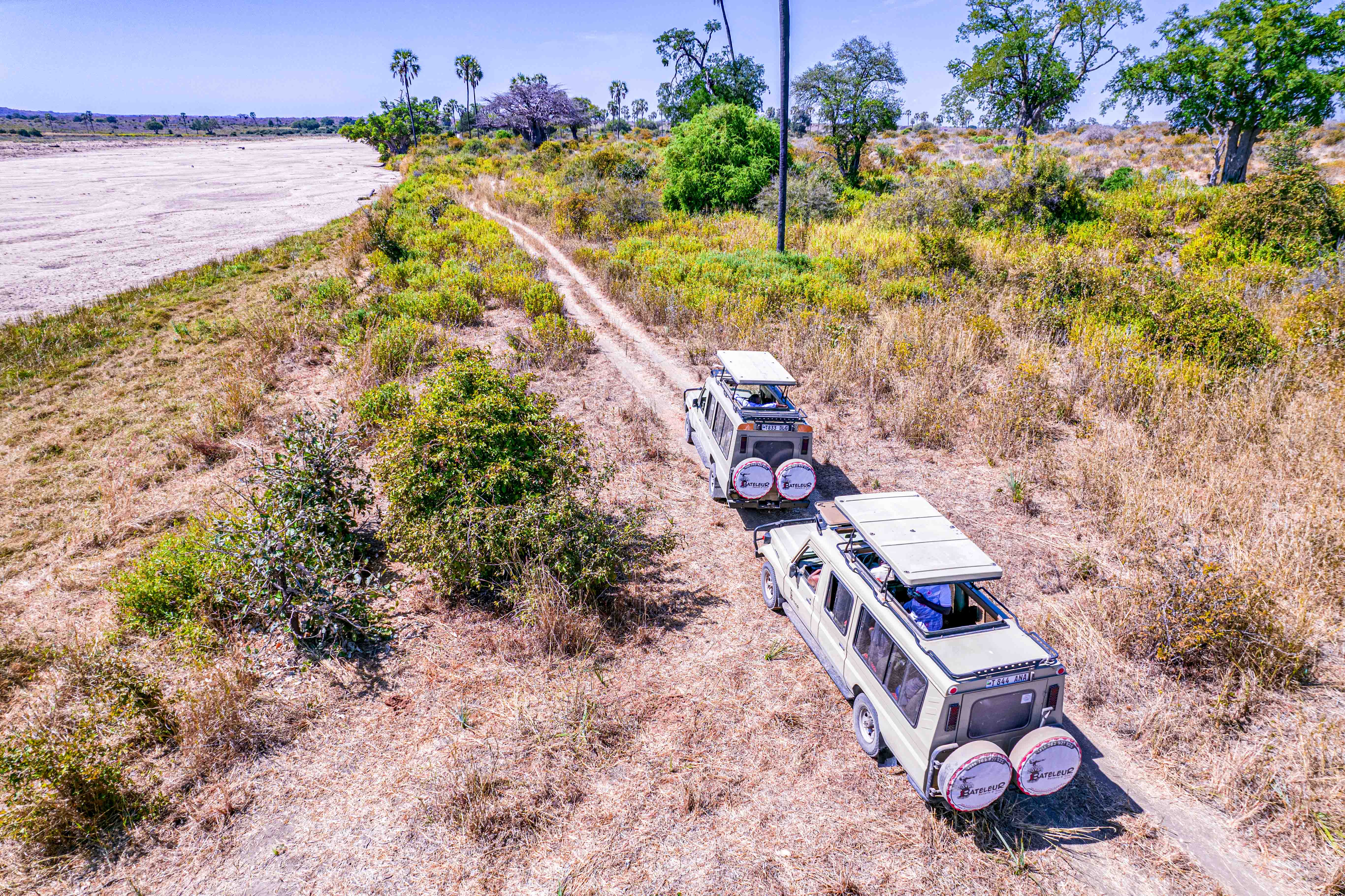 Go wild in Southern Tanzania