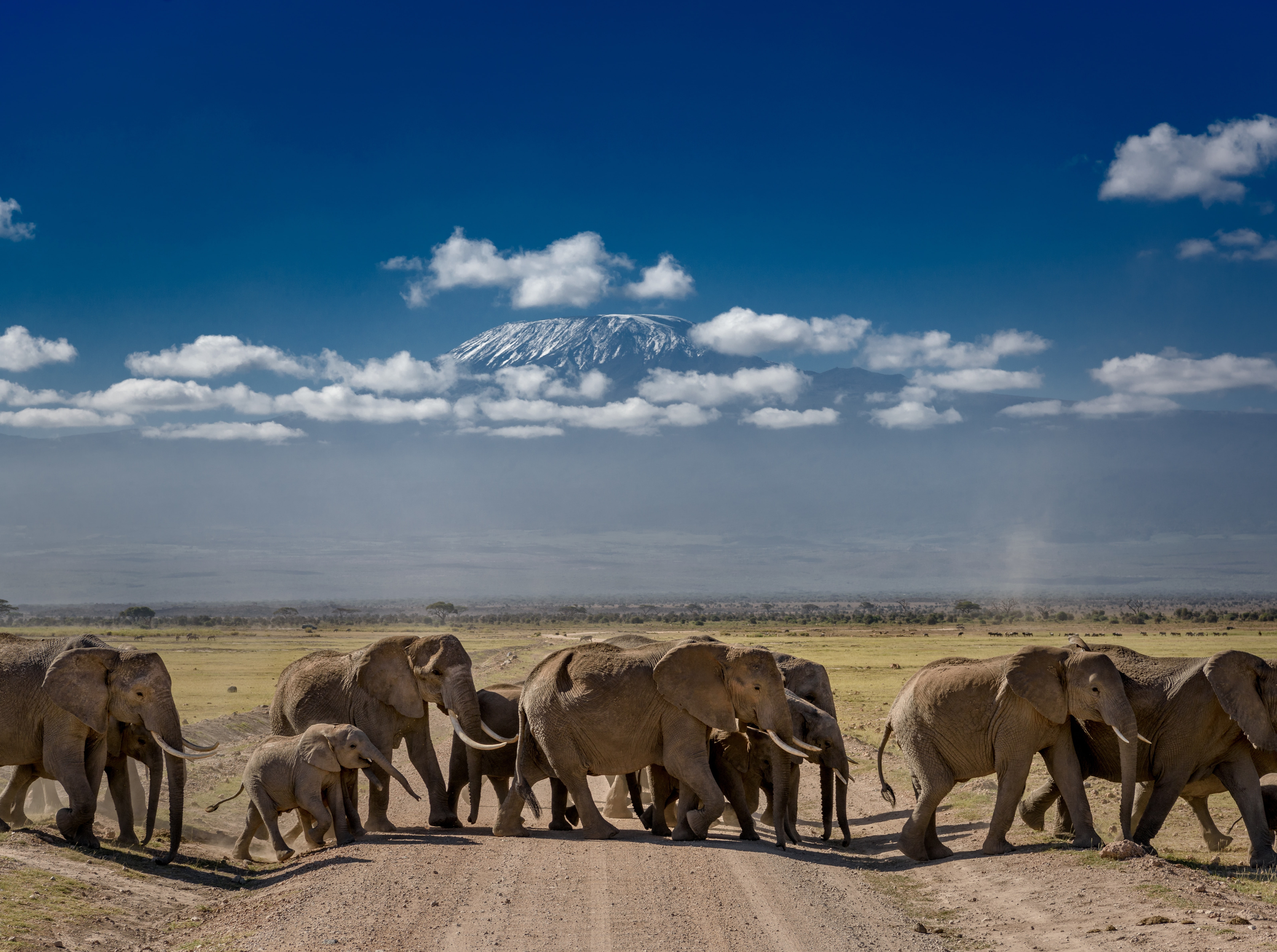 MARANGU ROUTE 6DAYS 5NIGHTS - KILIMANJARO CLIMB