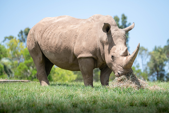 7 DAYS SPECIAL SAFARI PACKAGE TO NORTHERN TANZANIA